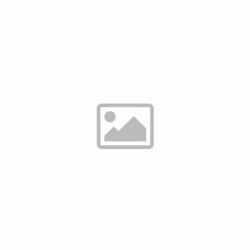 Parker Royal Jotter ORIGINAL Golyóstoll PIROS EZÜST KLIPSZ, BL 2096857