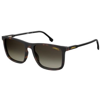 CARRERA 231-S-086-HA Unisex napszemüveg
