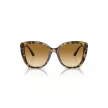 EMPORIO ARMANI EA4214U60593B Női napszemüveg